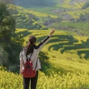 黄山旅游 缩略图 6