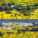 黄山旅游 缩略图 3