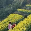 黄山旅游 缩略图 5