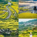黄山旅游 缩略图 4