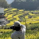 黄山旅游 缩略图 8