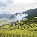 黄山旅游 缩略图 7