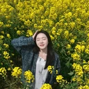 黄山旅游 缩略图 2