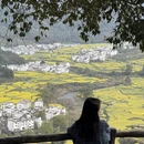 黄山旅游 缩略图 4