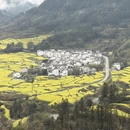 黄山旅游 缩略图 10
