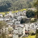 黄山旅游 缩略图 1