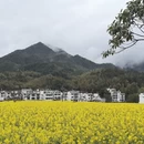 黄山旅游 缩略图 14