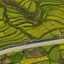 黄山旅游 缩略图 1