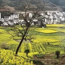 上饶旅游 缩略图 4