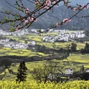 黄山旅游 缩略图 2