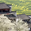 上饶旅游 缩略图 6