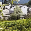黄山旅游 缩略图 3