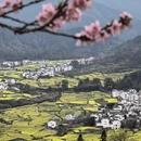 黄山旅游 缩略图 7