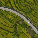 黄山旅游 缩略图 5