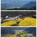 黄山旅游 缩略图 1