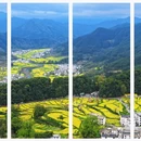 黄山旅游 缩略图 2