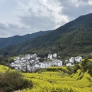 黄山旅游 缩略图 7