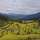 黄山旅游 缩略图 2