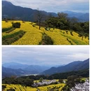 黄山旅游 缩略图 5