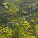 黄山旅游 缩略图 4