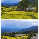 黄山旅游 缩略图 3