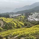 黄山旅游 缩略图 5