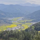 黄山旅游 缩略图 1