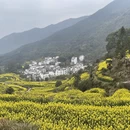 黄山旅游 缩略图 7