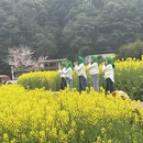 黄山旅游 缩略图 16