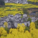 黄山旅游 缩略图 1