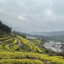 黄山旅游 缩略图 6
