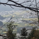 黄山旅游 缩略图 17
