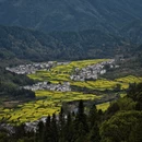 黄山旅游 缩略图 5