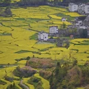 黄山旅游 缩略图 8