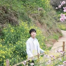 黄山旅游 缩略图 1
