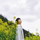 黄山旅游 缩略图 3