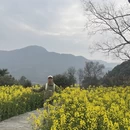黄山旅游 缩略图 12