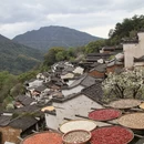黄山旅游 缩略图 8