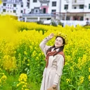 黄山旅游 缩略图 2