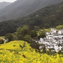 黄山旅游 缩略图 12