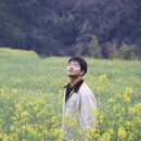 黄山旅游 缩略图 16