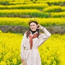 黄山旅游 缩略图 6