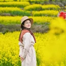 黄山旅游 缩略图 8