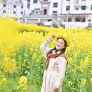 黄山旅游 缩略图 13
