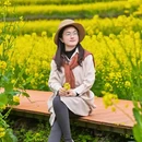 黄山旅游 缩略图 10