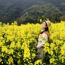 黄山旅游 缩略图 15