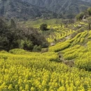 上饶旅游 缩略图 5