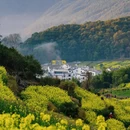黄山旅游 缩略图 2