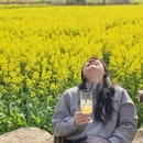 黄山旅游 缩略图 1