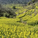 上饶旅游 缩略图 6